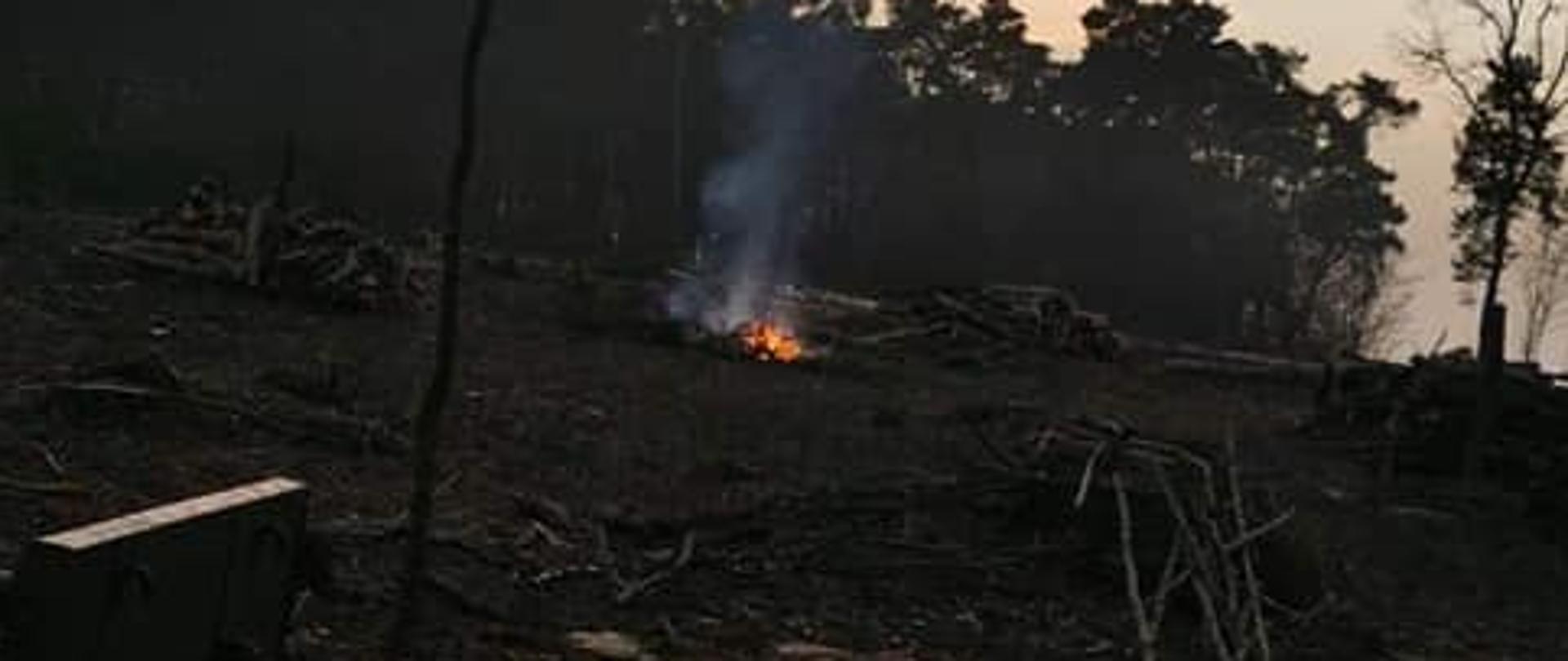 Zmierzch, widoczne ognisko w lesie.