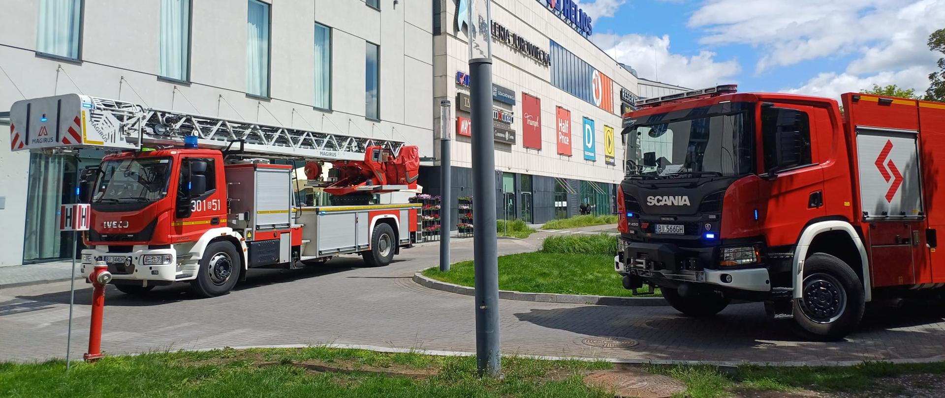 Ćwiczenia na terenie hotelu Ibis Styles.
