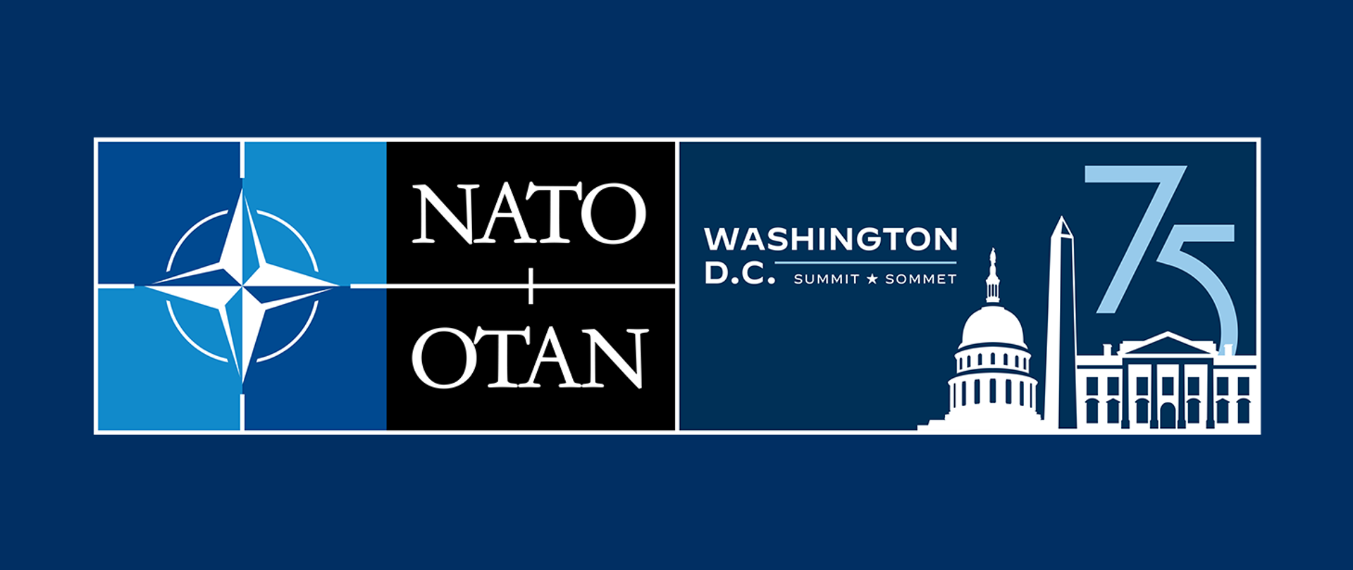Logo szczytu NATO w Waszyngtonie