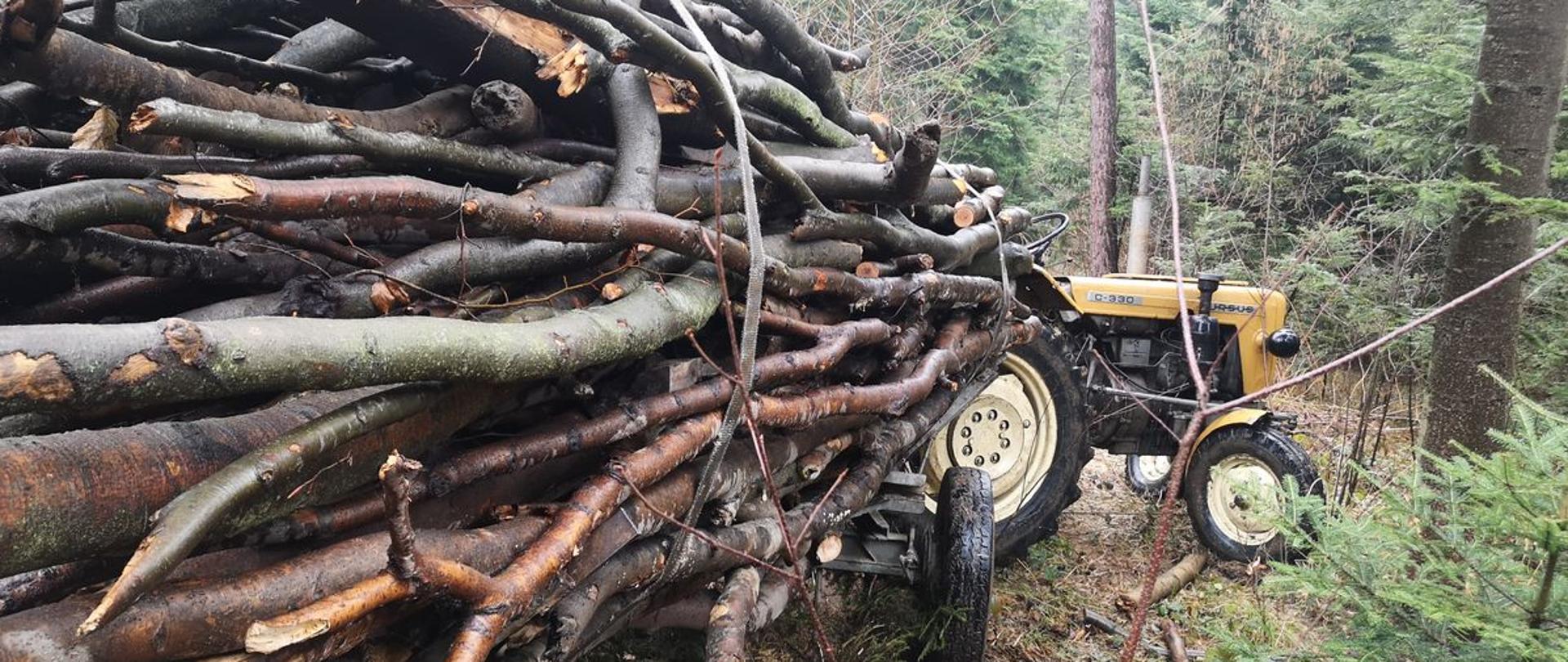 Widok przyczepy ciągnika rolniczego załadowanej drewnem oraz ciągnik rolniczy skrzyżowany w stosunku do przyczepy.