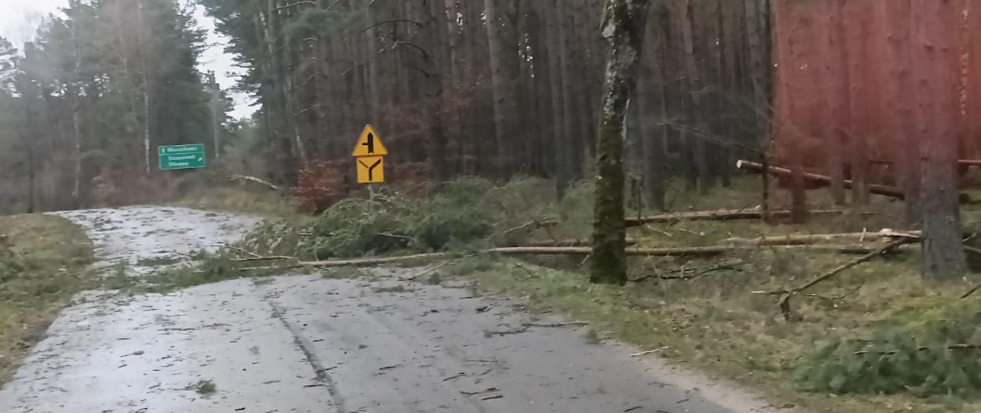 Huragan w powiecie szczecineckim - drzewo przewrócone w poprzek drogi blokuje przejazd