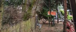 Na zdjęciu drzewa w ogrodzie. Jedno widocznie pochylone na budynek mieszkalny. Fragment ogrodzenia posesji. Po prawej stronie budynek, z widoczną brązową rynną. 