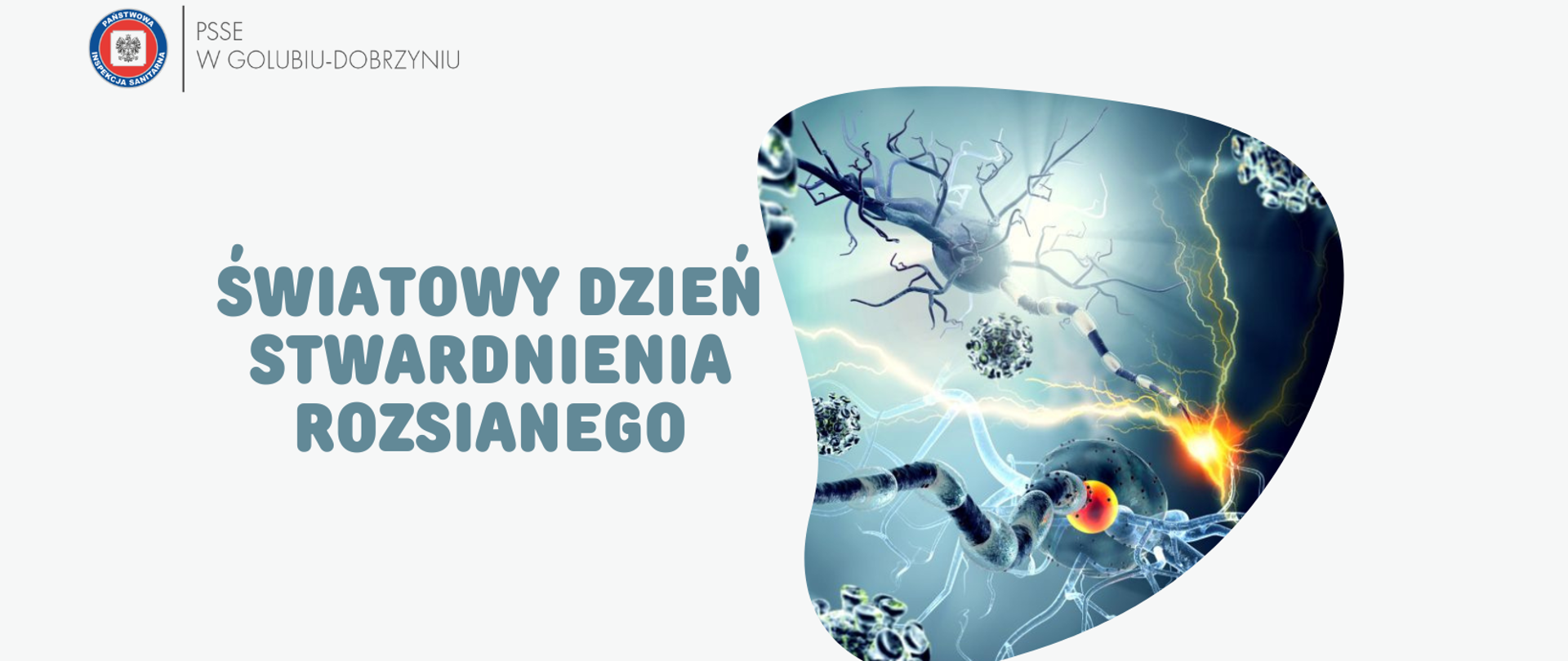 Światowy Dzień Stwardnienia Rozsianego