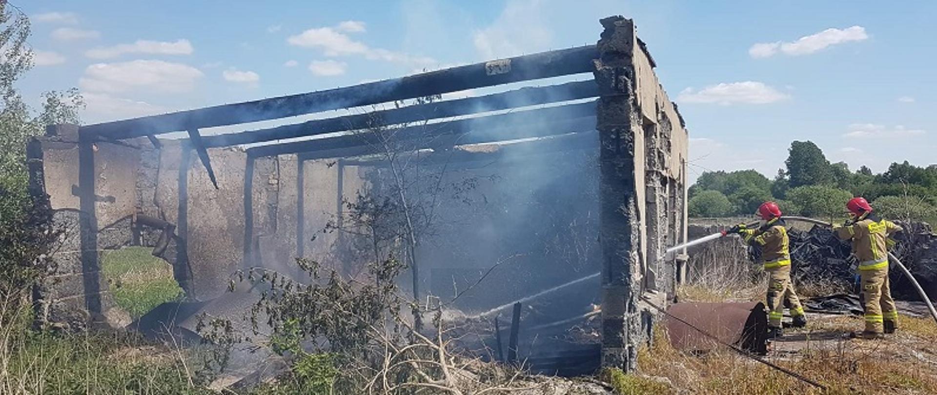 Zdjęcie przedstawia pożar wolnostojącego pustostanu na ul. Mestwina w Białogardzie. Strażacy w ubraniach specjalnych gaszą obiekt wodą. Zastęp trzyma wąż pożarniczy zakończony prądownicą wodną