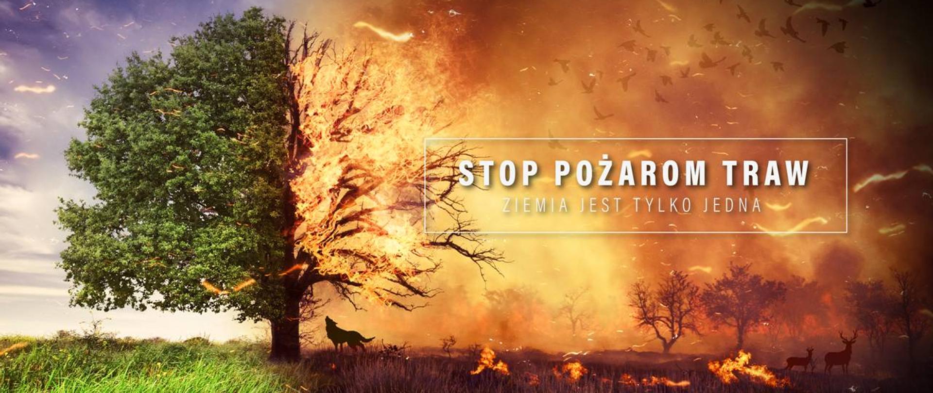 Plakat kampanii Stop Pożarom Traw z grafiką palącego się drzewa.