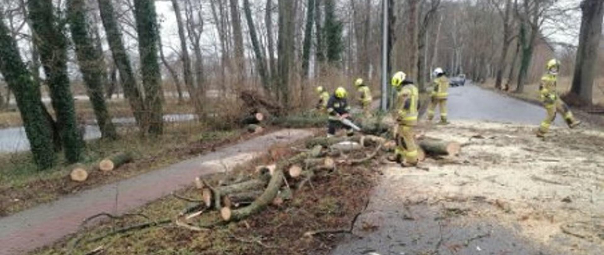 Bilans interwencji- silne wiatry 