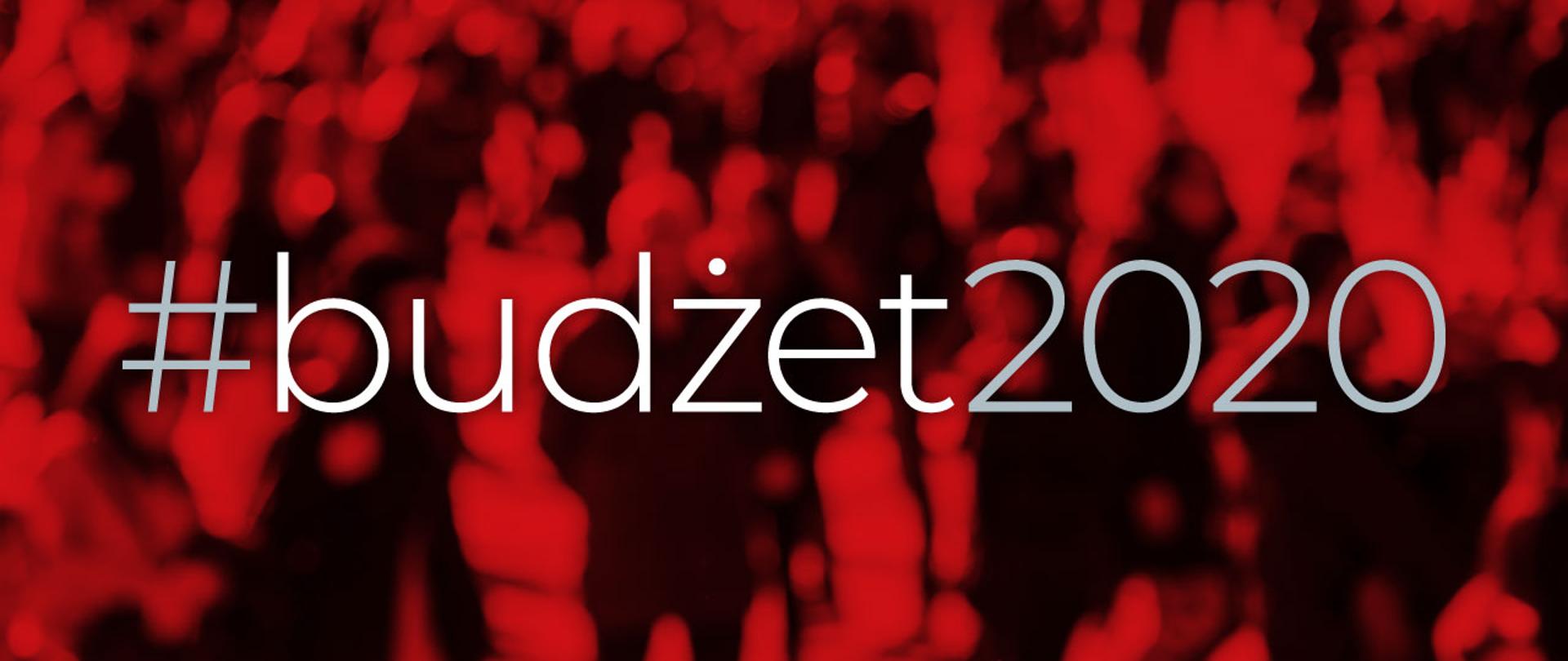 Grafika z napisem #budżet2020