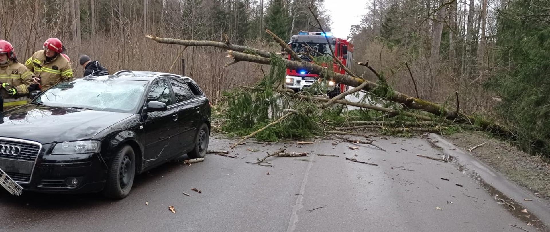 Na pierwszym planie czarny samochód z powyginanym dachem. Z tyłu powalone drzewo na drodze za nim stoi strażacki wóz bojowy.