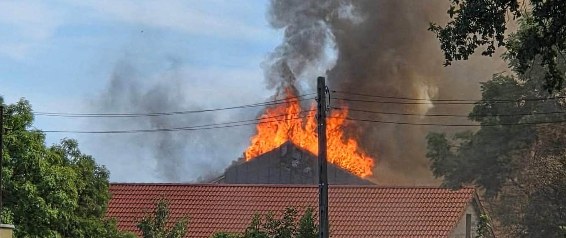 Na zdjęciu widoczny pożar dachu hali magazynowej. Płomienie wychodzą ponad dach budynku, widoczny czarny dym. 
