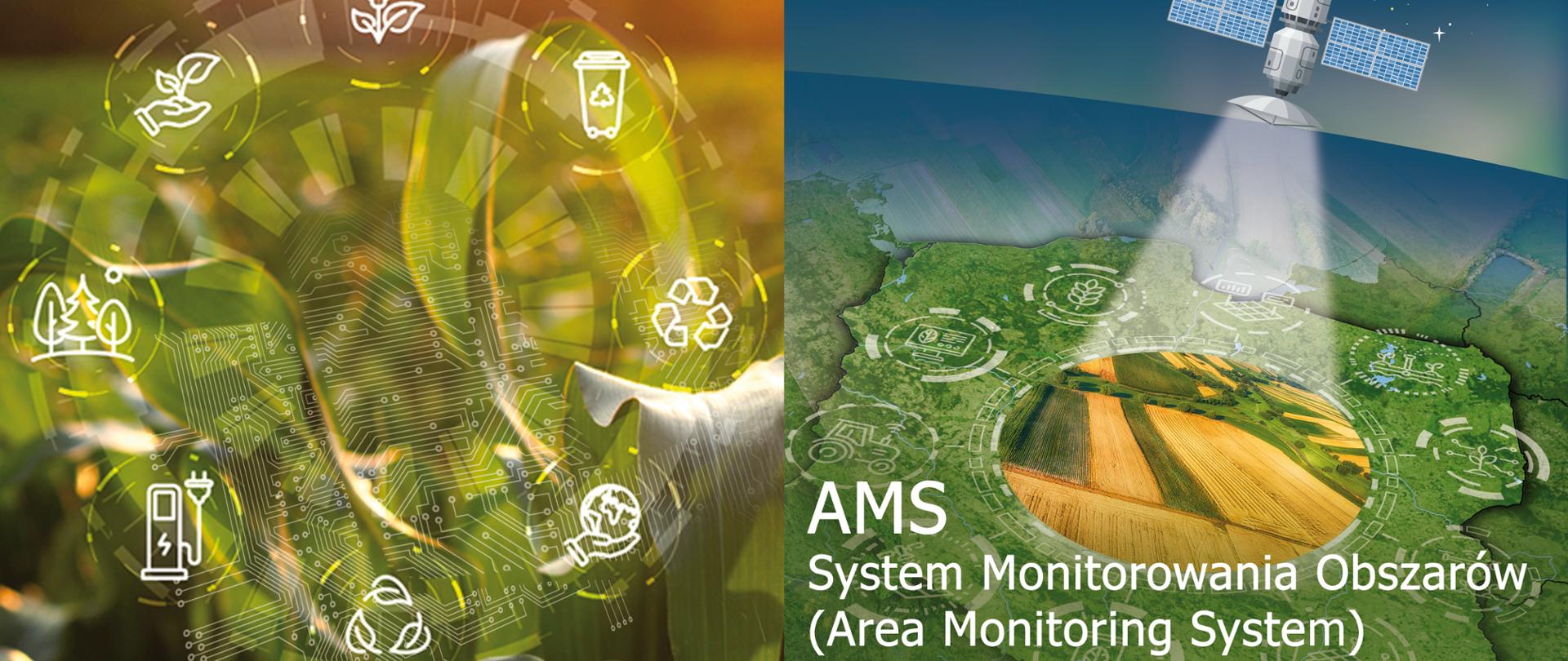 AMS_Ekoschemat_Biologiczna