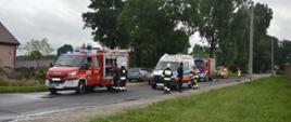 Kolizja w Trzeboszu. Auto osobowe uderzyło w słup energetyczny. Na jezdni stoją pojazdy straży pożarnej, pogotowia ratunkowego i pogotowia energetycznego. Obok wozów - strażacy. W tle drzewa.