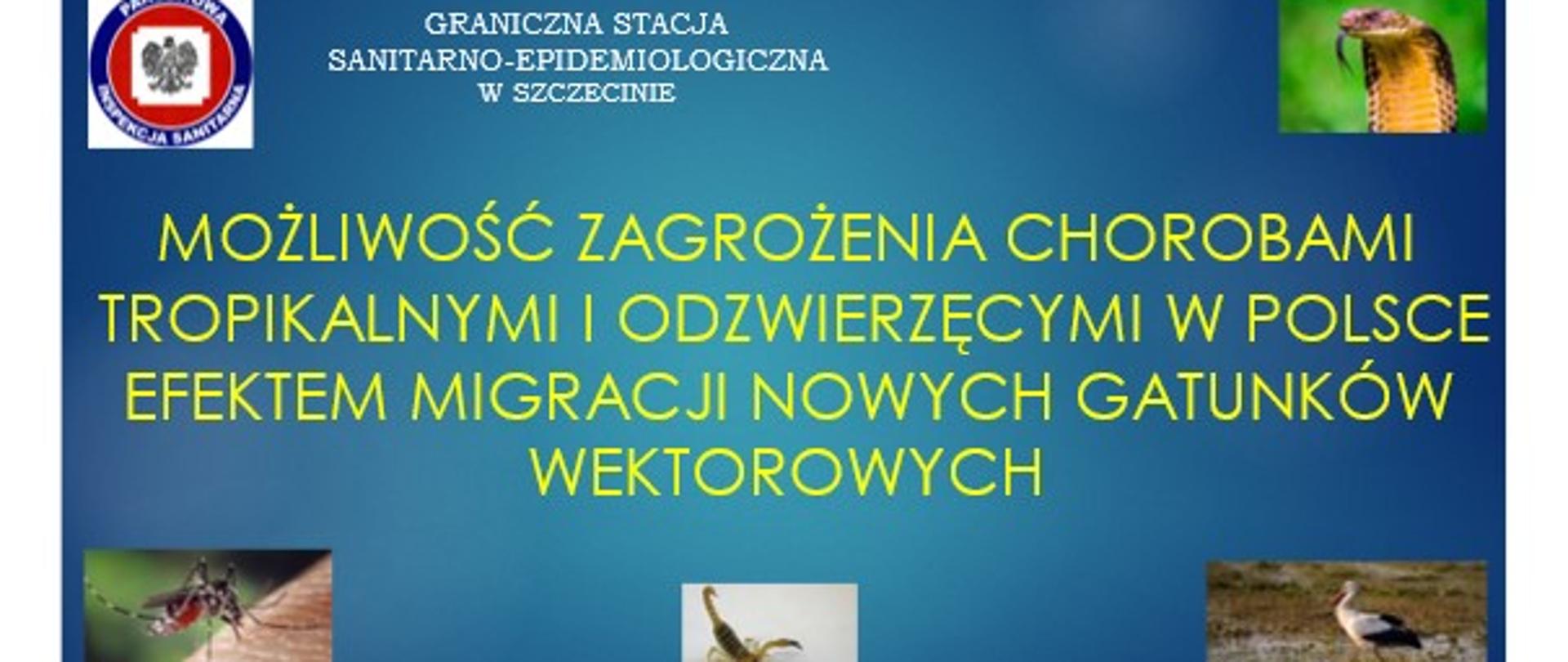 Możliwość zagrożenia chorobami tropikalnymi i odzwierzęcymi w Polsce