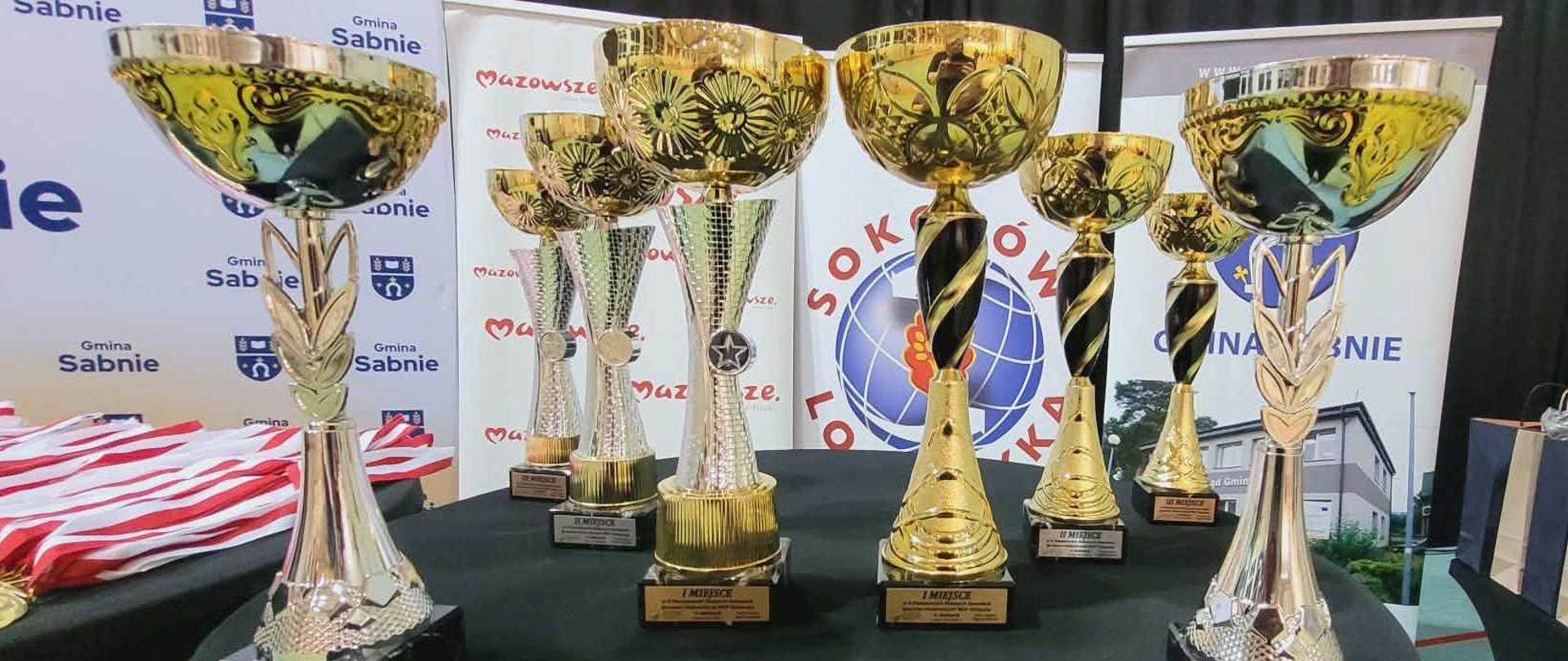 Na stołach przygotowano okazałe złote i srebrne puchary z tabliczkami za zajęcie I, II i III miejsca, a także statuetki dla najlepszych zawodników.