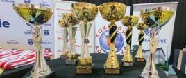 Na stołach przygotowano okazałe złote i srebrne puchary z tabliczkami za zajęcie I, II i III miejsca, a także statuetki dla najlepszych zawodników.