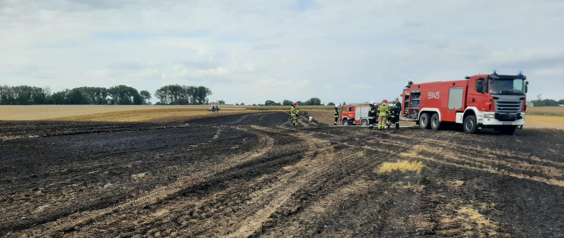 Dzień. Słonecznie. Na zdjęciu widnieją strażacy prowadzący działania gaśnicze rżyska objętego pożarem. 