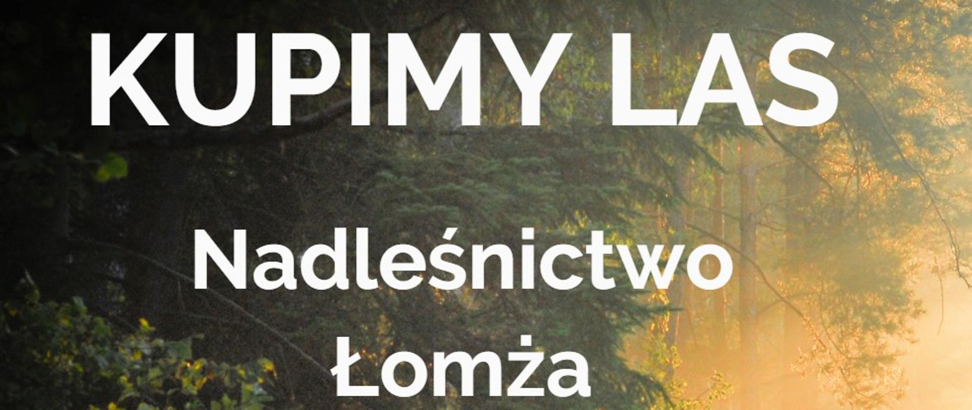 zaproszenie do sprzedaży lasu