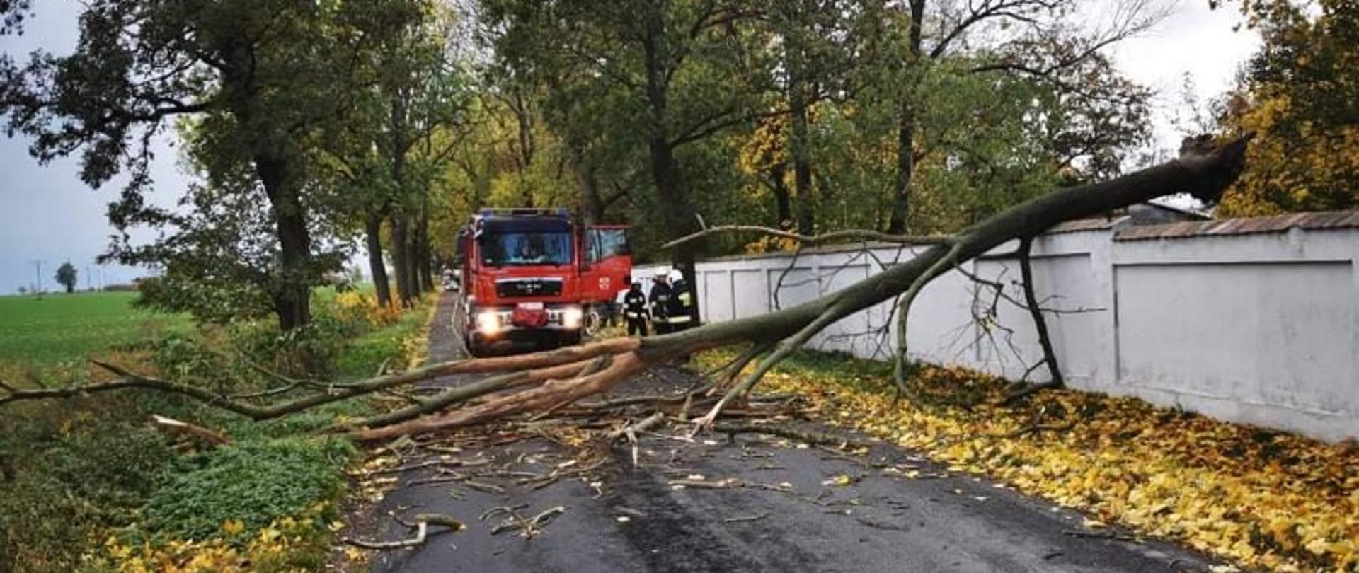 Usuwanie skutków silnego wiatru na terenie powiatu mogileńskiego