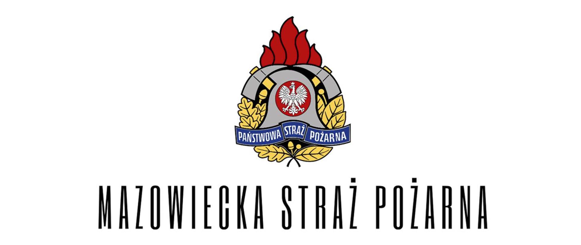 Logo Państwowej Straży Pożarnej 