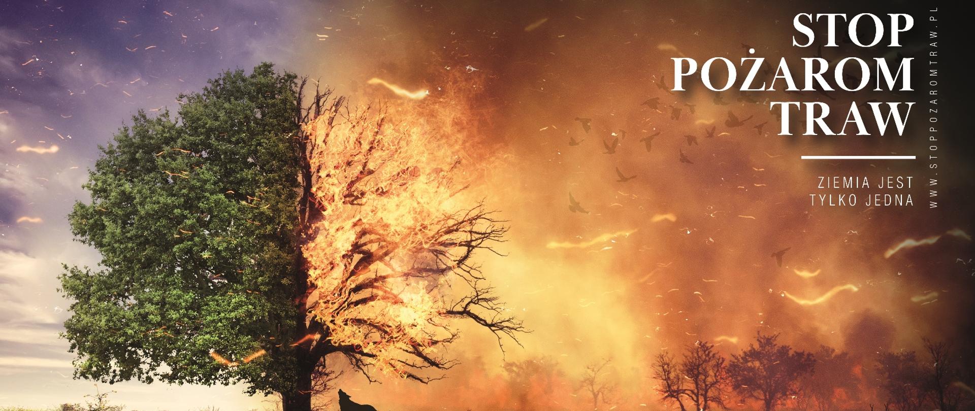 PLAKATY przedstawiające pożar traw