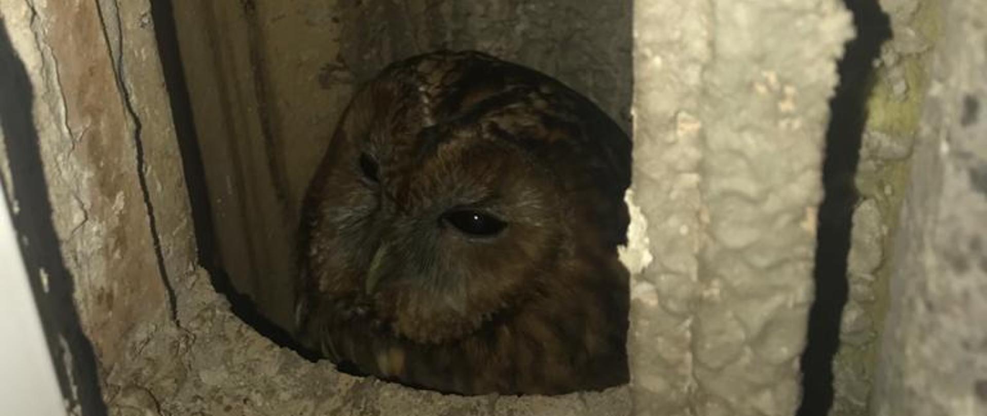 Na zdjęciu widoczny otwór rewizyjny przewodu dymowego w którym znajduje się Sowa.