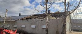 Zdjęcie przedstawia częściowo zerwany dachy z budynku kurnika. Na zdjęciu widać również ładowarkę oraz drzewa