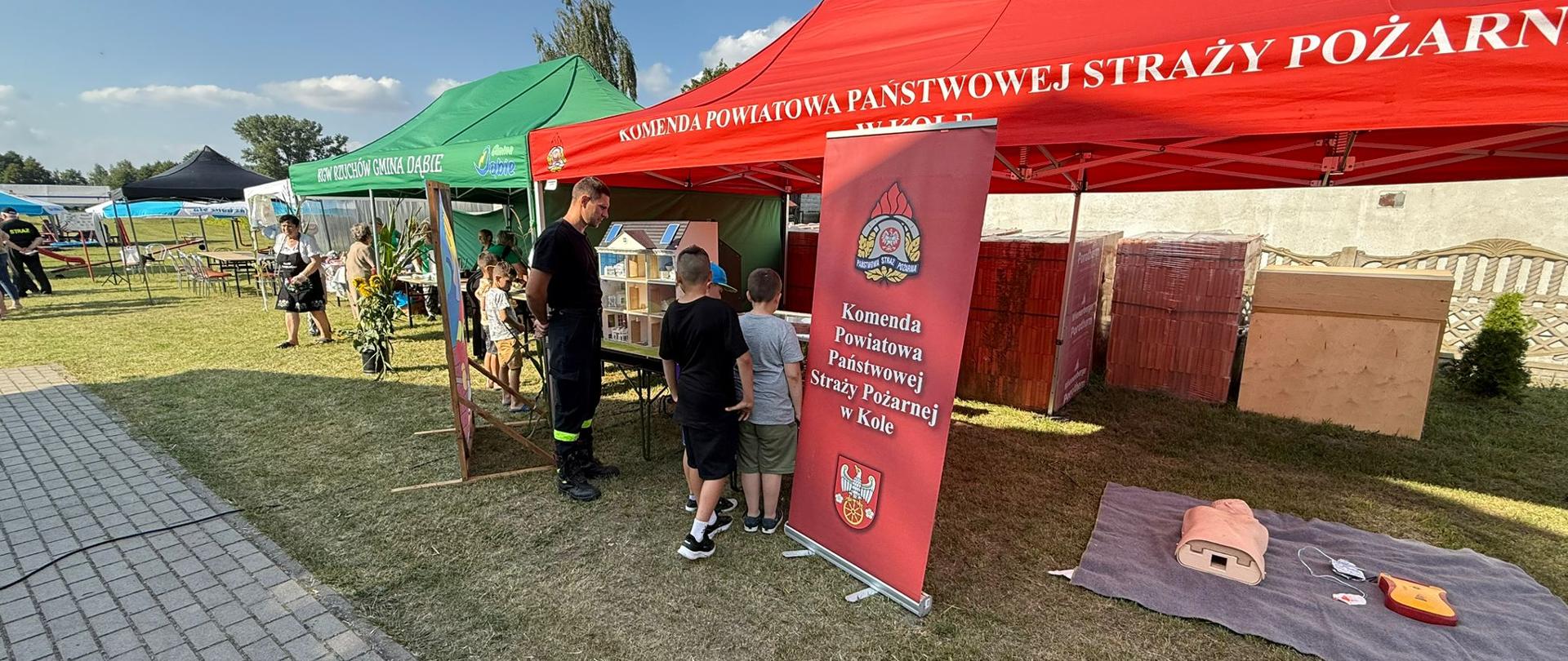 PREWENCJA SPOŁECZNA PODCZAS PIKNIKU RODZINNEGO W RZUCHOWIE