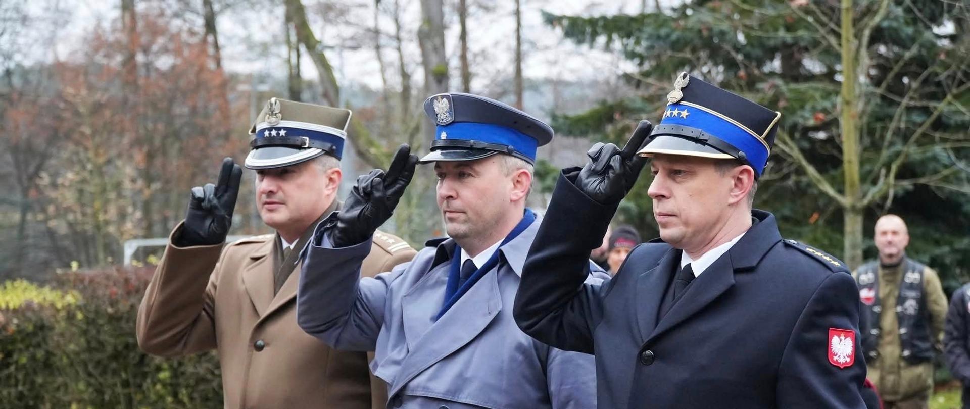 Obchody Narodowego Święta Niepodległości