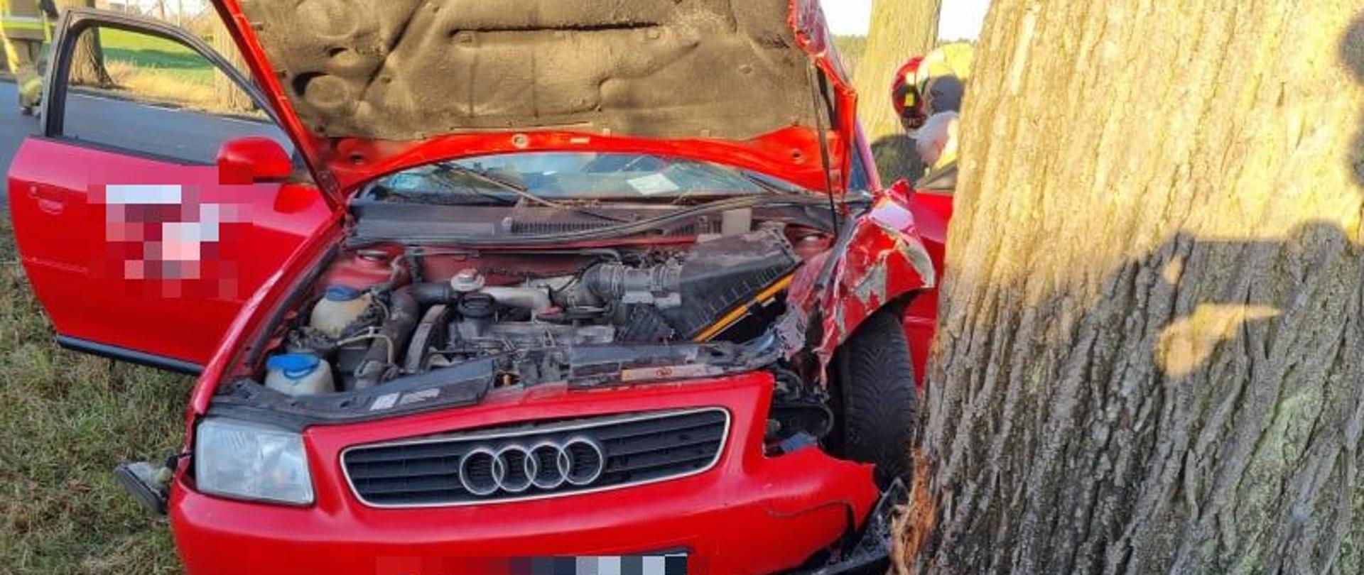 Pora dzienna, z lewej strony widać zniekształcony przód czerwonego auta osobowego po uderzeniu w drzewo, drzwi od strony pasażera otwarte na lewą stronę kadru. Od środka do prawej strony widać solidny pniak drzewa w które uderzyło auto.