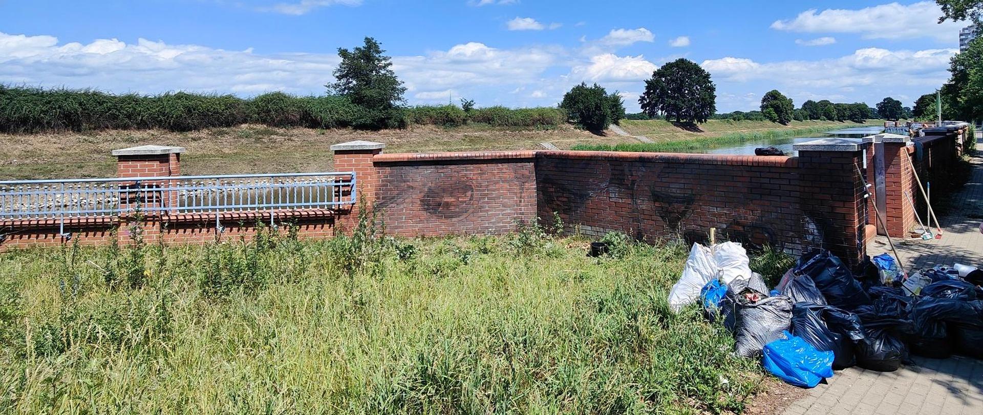 Sprzątanie terenów nad Kanałem Miejskim we Wrocławiu.
