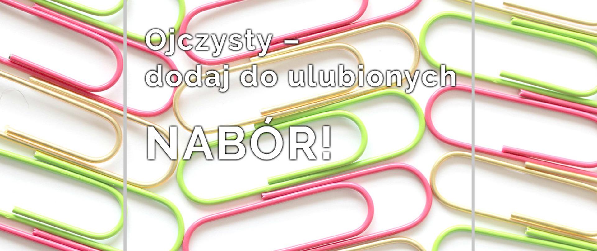 Program Ojczysty – dodaj do ulubionych 2020
