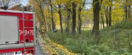 Wypadek w Rożdżałach 28.10.2025