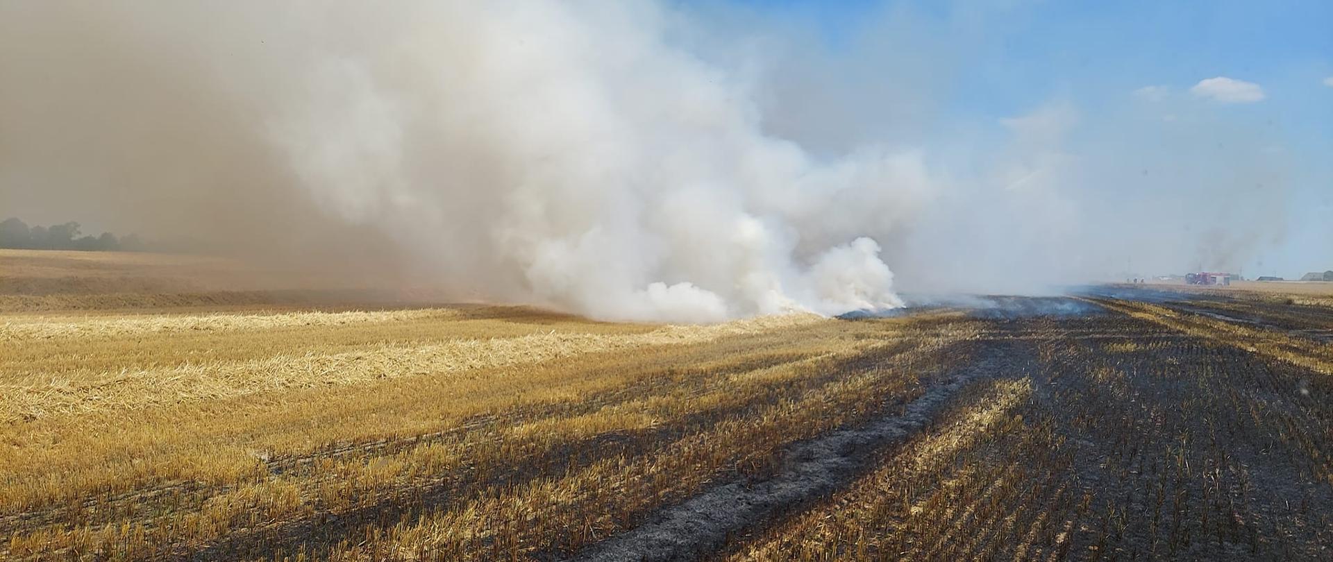 Pracowity weekend pleszewskich strażaków