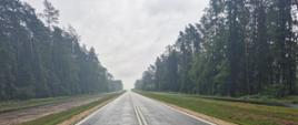 Na zdjęciu droga DW 747