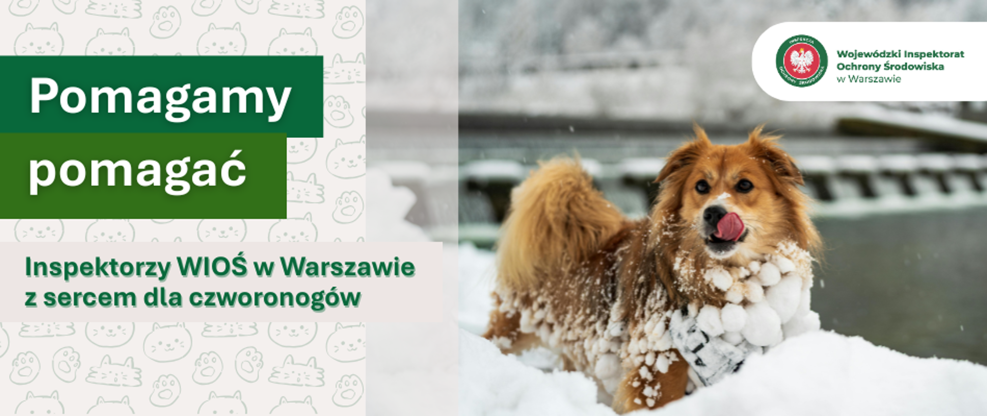 Na plakacie zdjęcie psa w śniegu i hasło: Pomagamy pomagać. Inspektorzy WIOŚ w Warszawie z sercem dla czworonogów