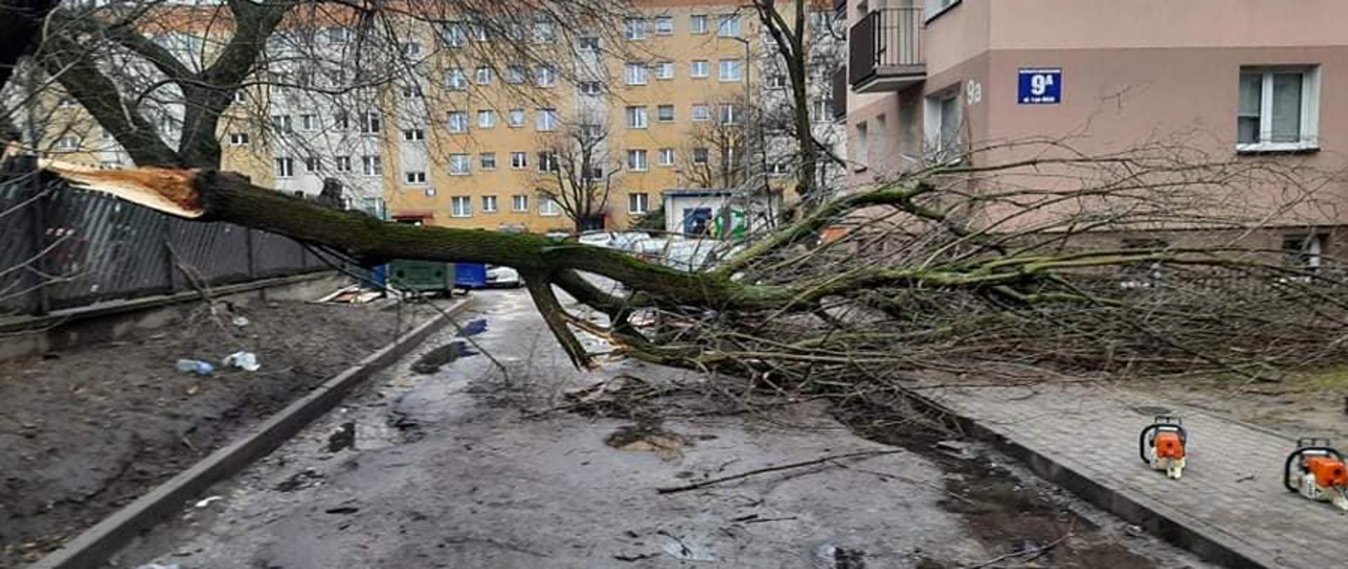 Na zdjęciu widać drzewo powalone na osiedlową uliczkę i blokujące przejazd.