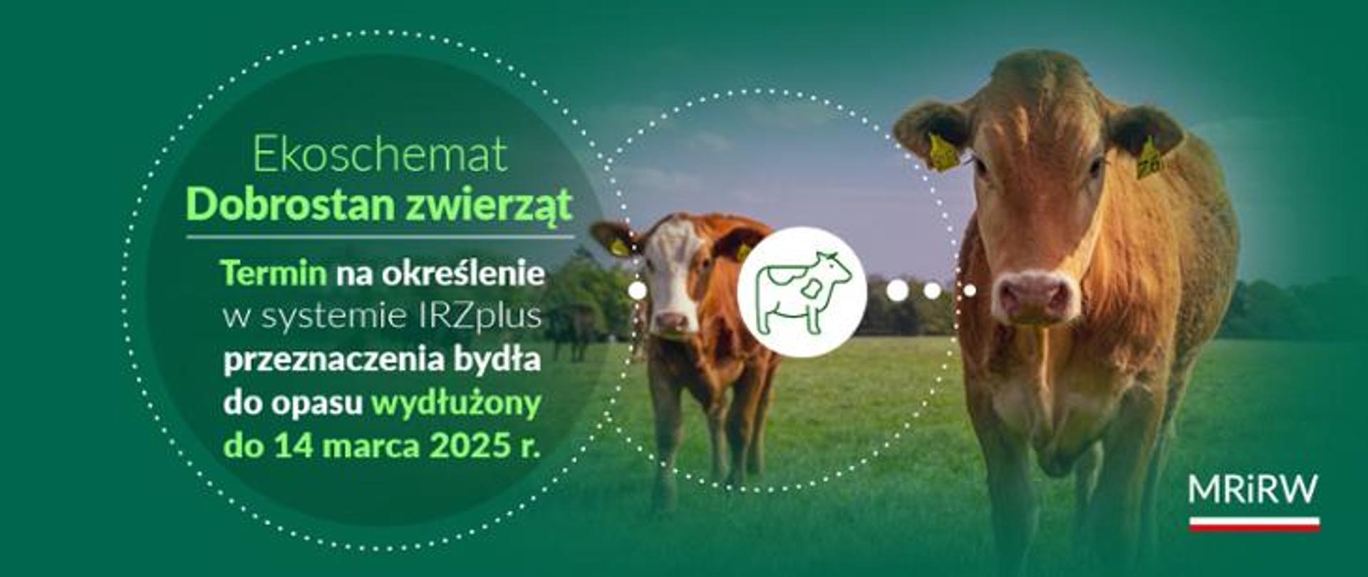 ekoschemat_dobrostan zwierząt