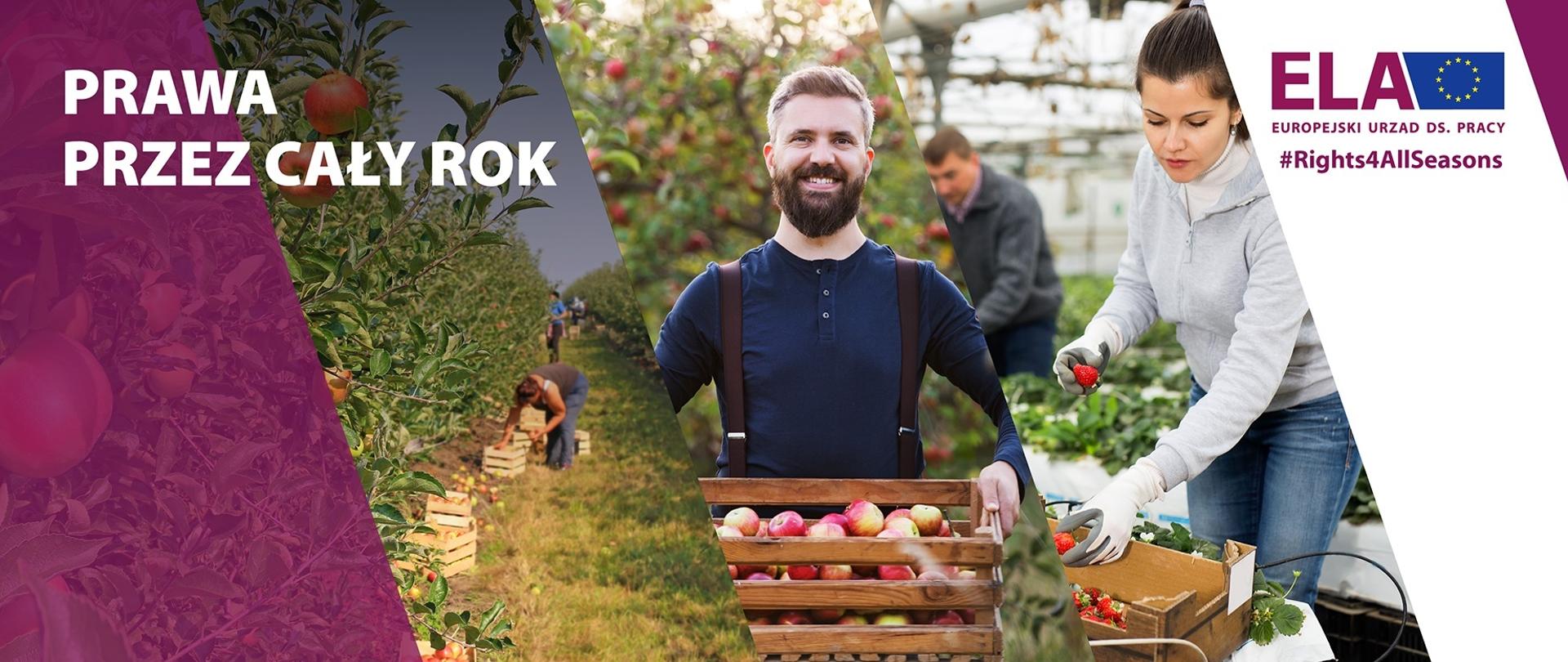 Prawa przez cały rok - kampania informacyjna dla pracowników sezonowych w UE