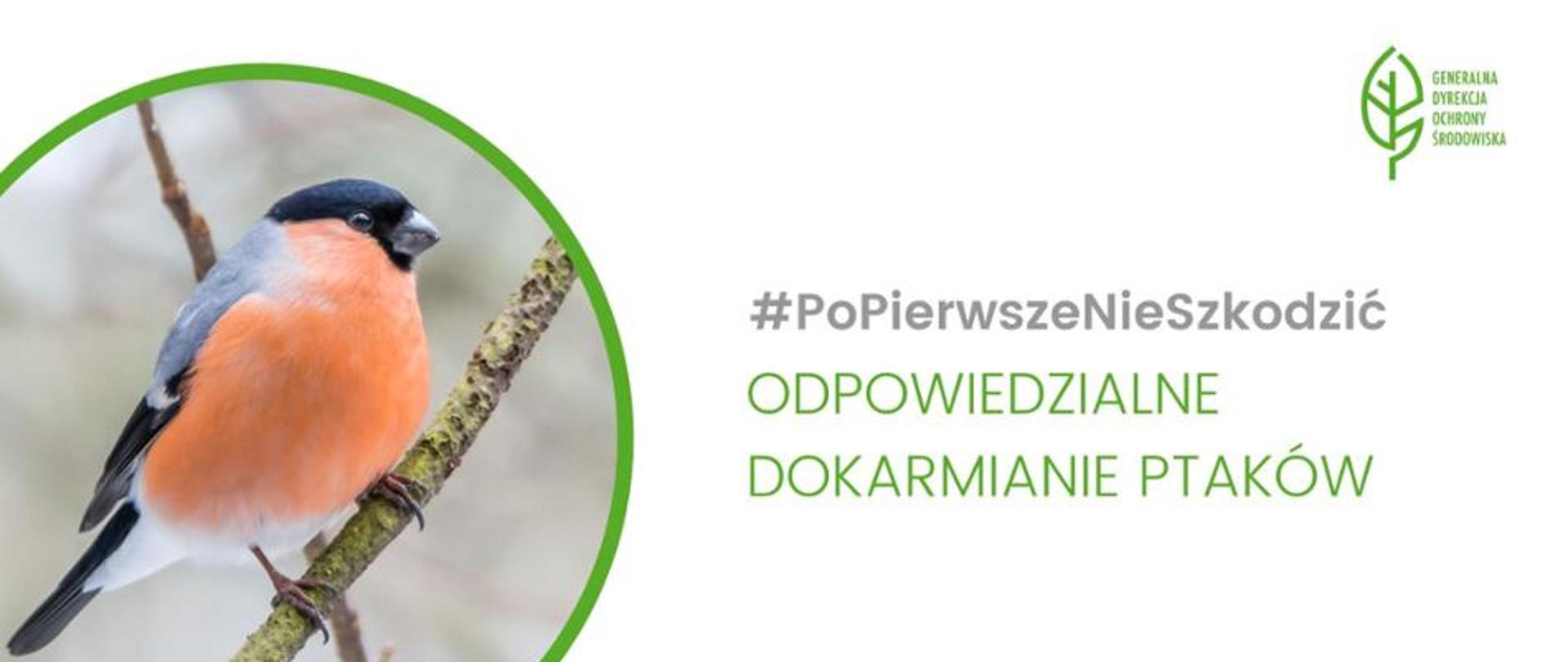 po lewej stronie znajduje się zdjęcie ptaka, po prawej stronie napis: # Po Pierwsze Nie Szkodzić Jak urządzić ptasią stołówkę?, w prawym górnym rogu logo Generalnej Dyrekcji Ochrony Środowiska