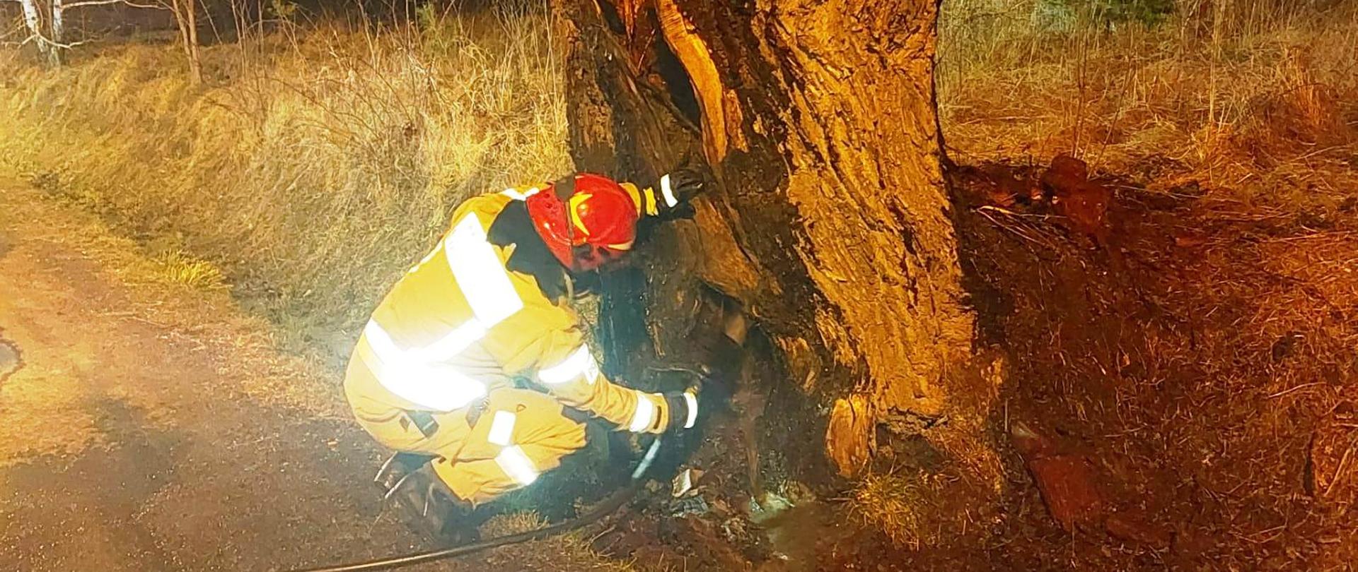 Strażak gasi płonące pień drzewa