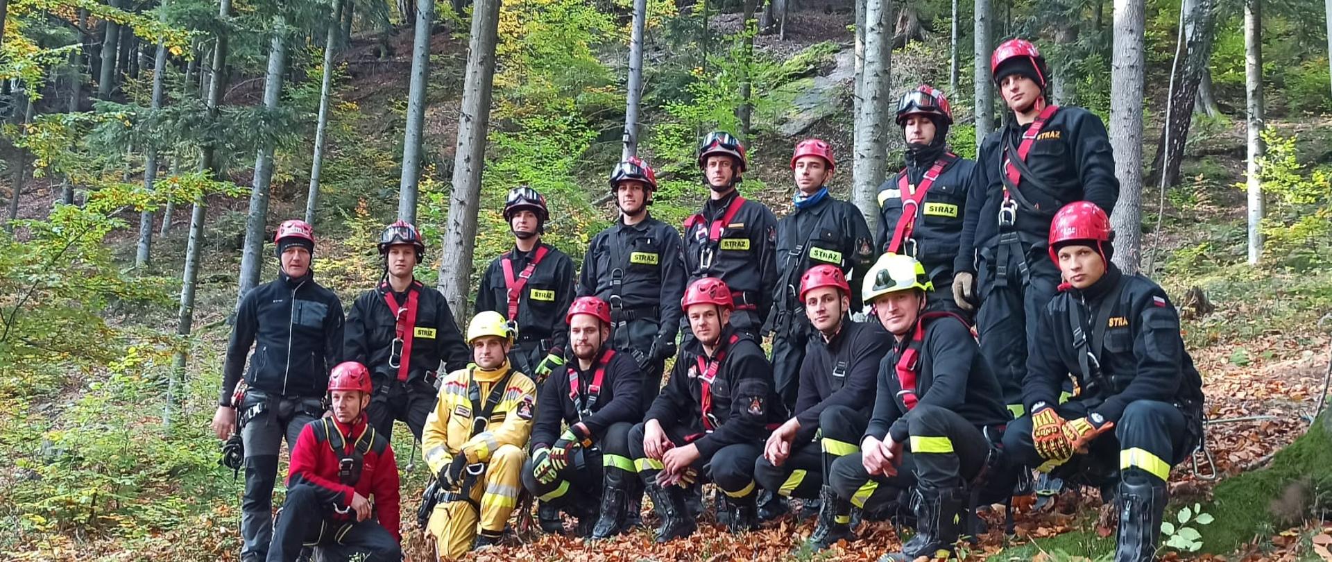 Grupa strażaków szkolących się z zakresu ratownictwa wysokościowego w specjalizacji ewakuacji z drzew. 