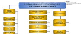 Struktura organizacyjna PSSE Opole Lubelskie