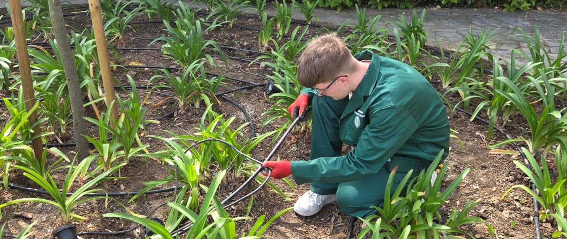 grecja-po weekendzie