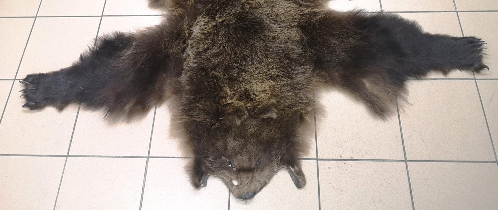 Skóra niedźwiedzia brunatnego.