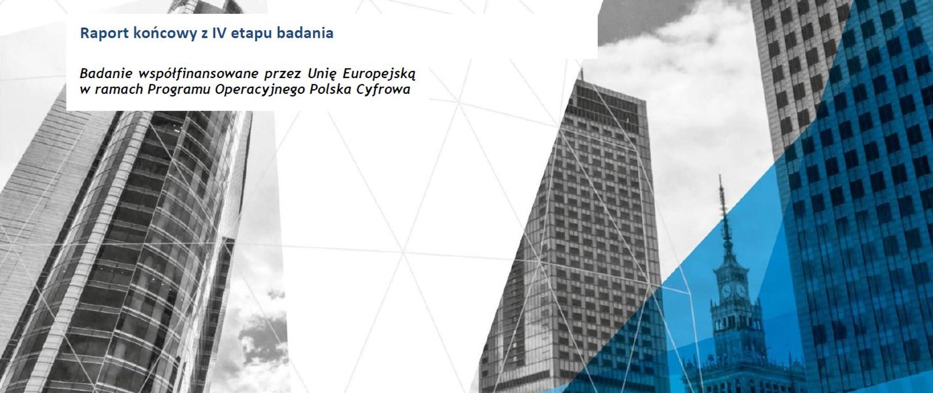 Ewaluacja Projektu e-Pionier – wsparcie uzdolnionych programistów na rzecz rozwiązywania zidentyfikowanych problemów społecznych lub gospodarczych (IV etap)