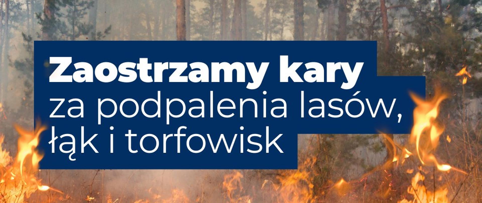 Zaostrzamy kary za podpalenia lasów, łąk i torfowisk