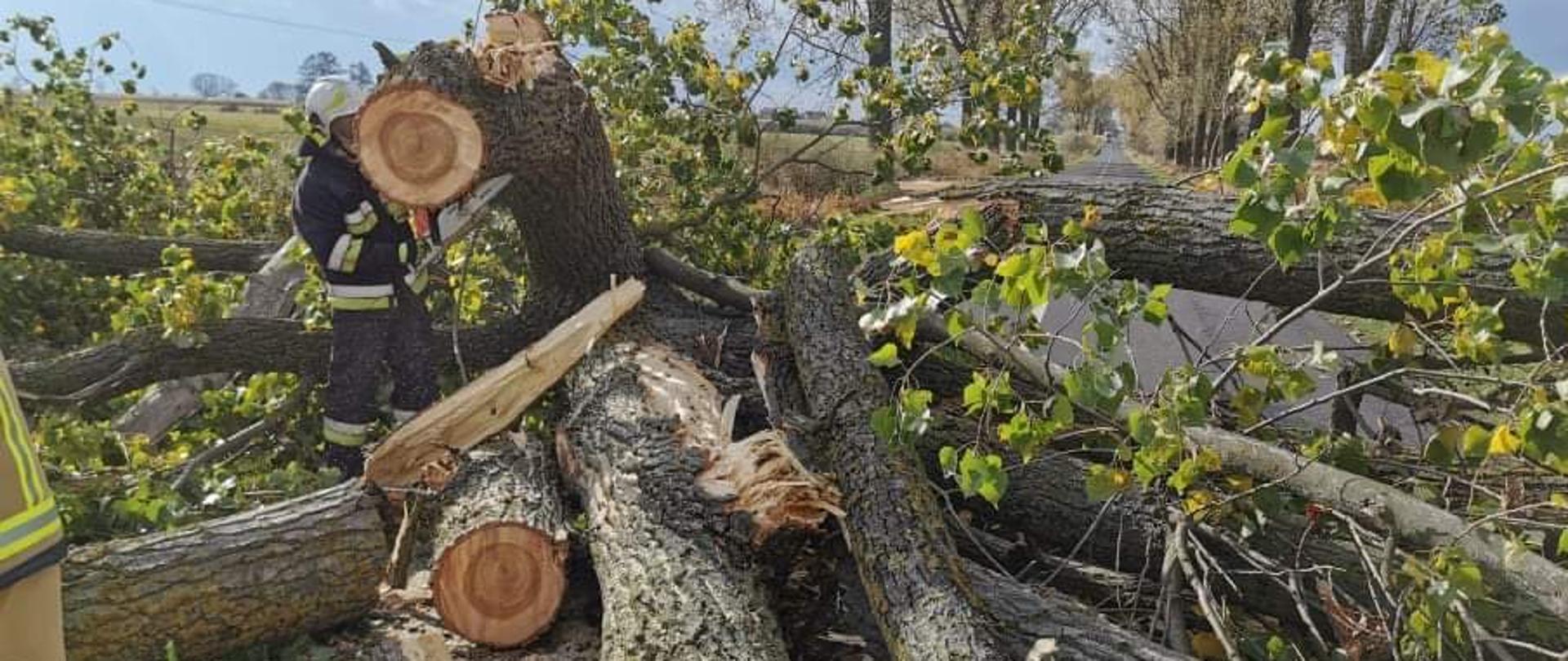 Dużo połamanego drzewa leży na jezdni. Obok strażak z pilarką do drewna tnie gruby pień drzewa.
