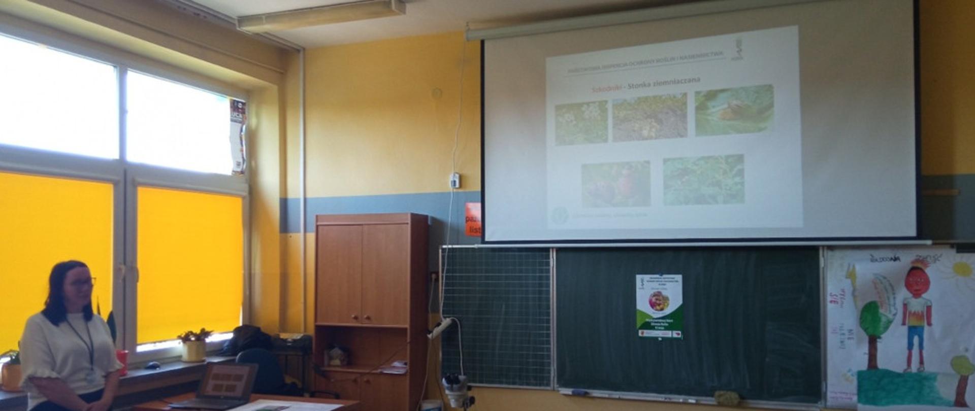 Na obrazie wyświetlanym z rzutnika dzieci siedzące w szkolnej klasie oglądają różne gatunki roślin