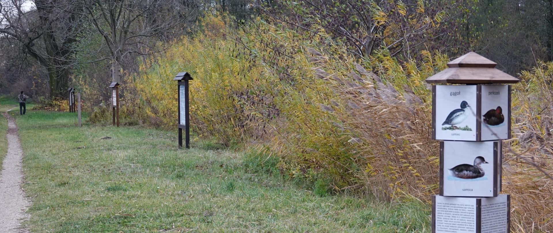 Ścieżka edukacyjna w rezerwacie Stawy Raszyńske