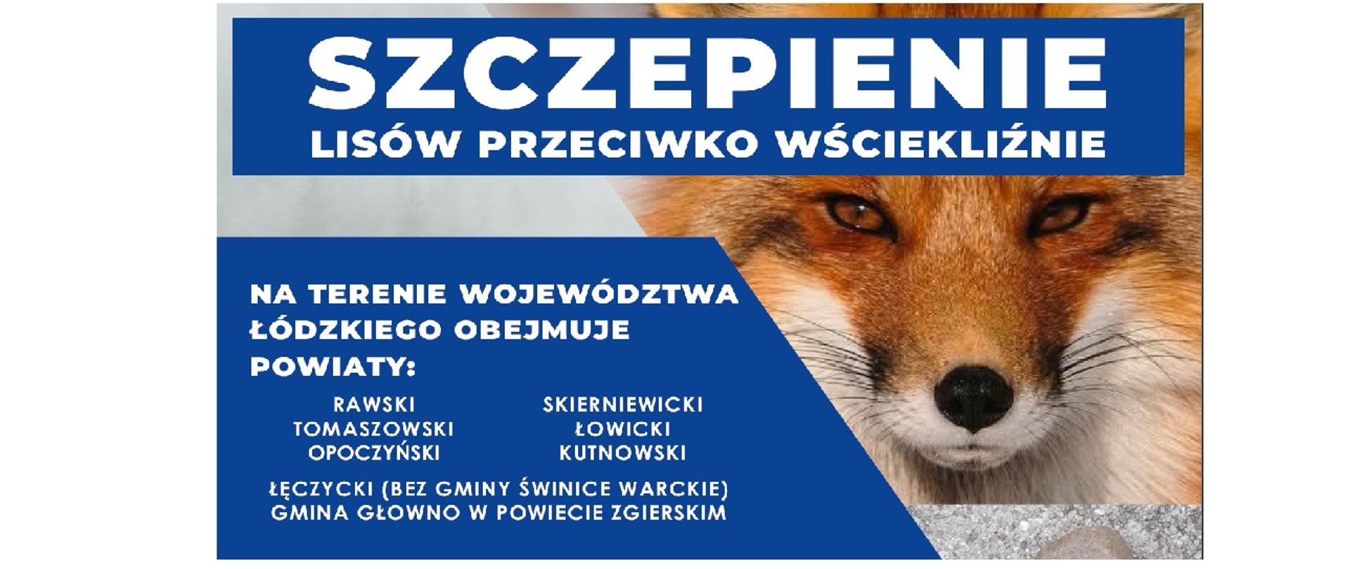 Szczepienie lisów