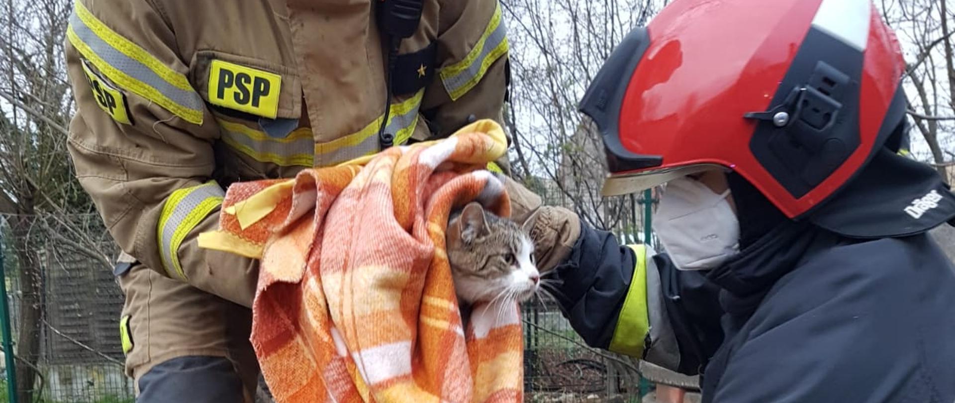 Zdjęcie przedstawia dwóch strażaków PSP, z których jeden trzyma w kocu zawiniętego kota. 